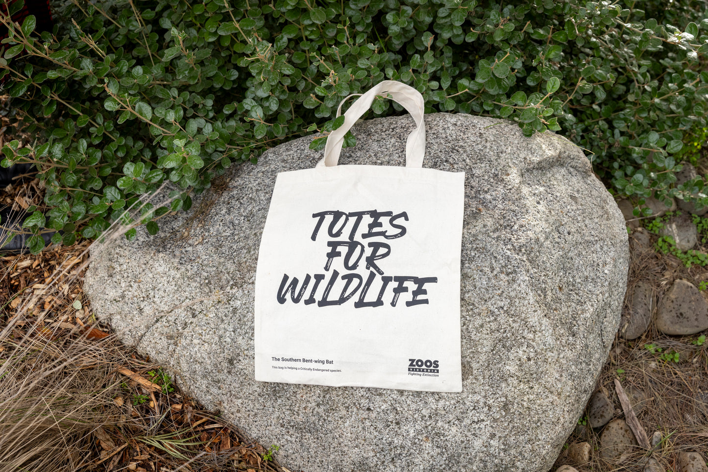 Bag Totes for Wildlife - Southern Bent-wing Bat