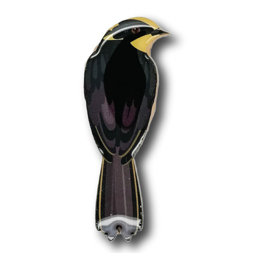 Brooch Helmeted Honeyeater