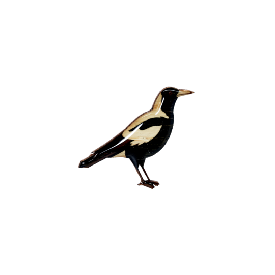 Brooch Magpie