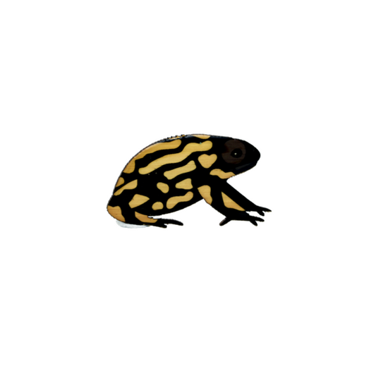 Brooch Southern Corroboree Frog