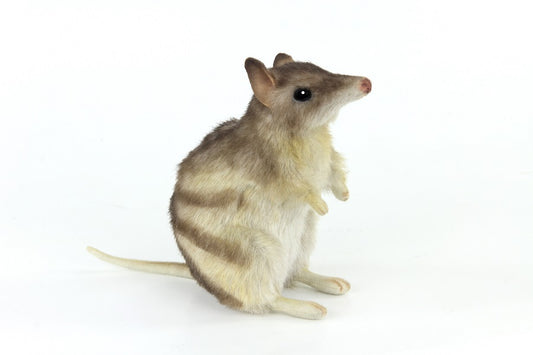 Plush Eastern Barred Bandicoot