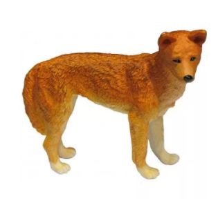 Replica Dingo