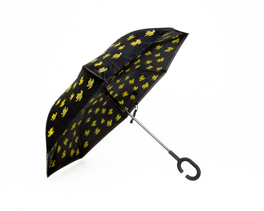 Umbrella Southern Corroboree Frog