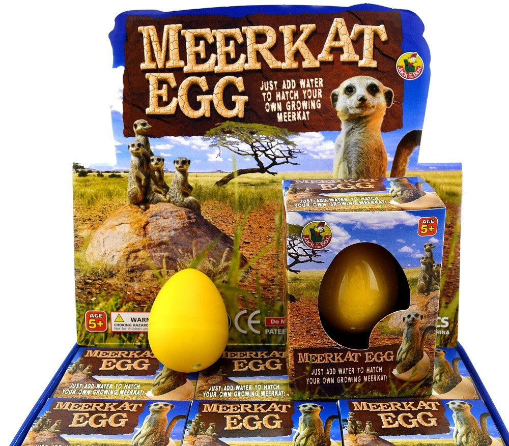 Grow Egg Meerkat