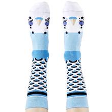 Socks Budgerigar Blue