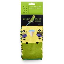 Socks Budgerigar Green