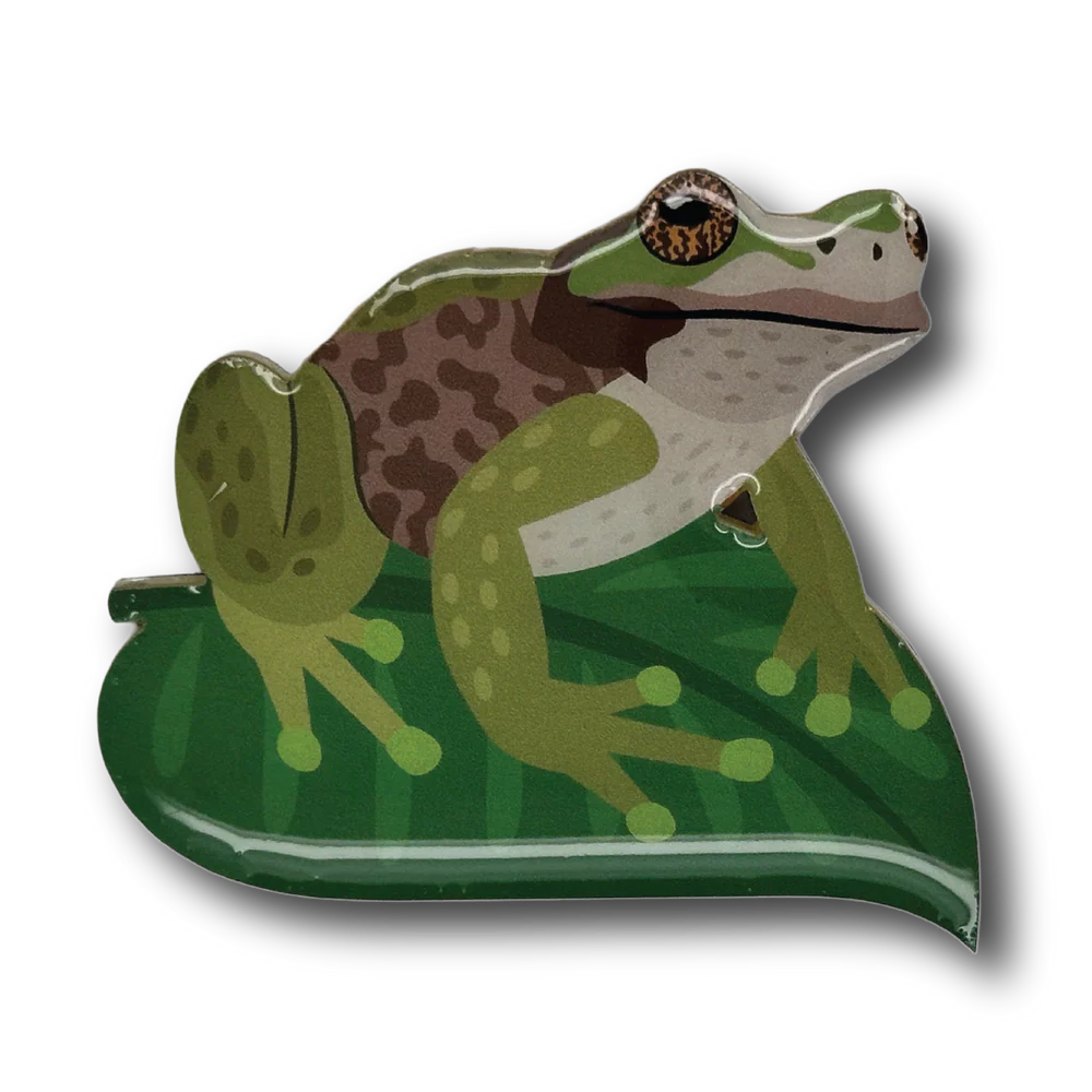 Brooch Spotted Tree Frog