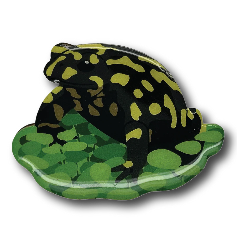Brooch Southern Corroboree Frog I