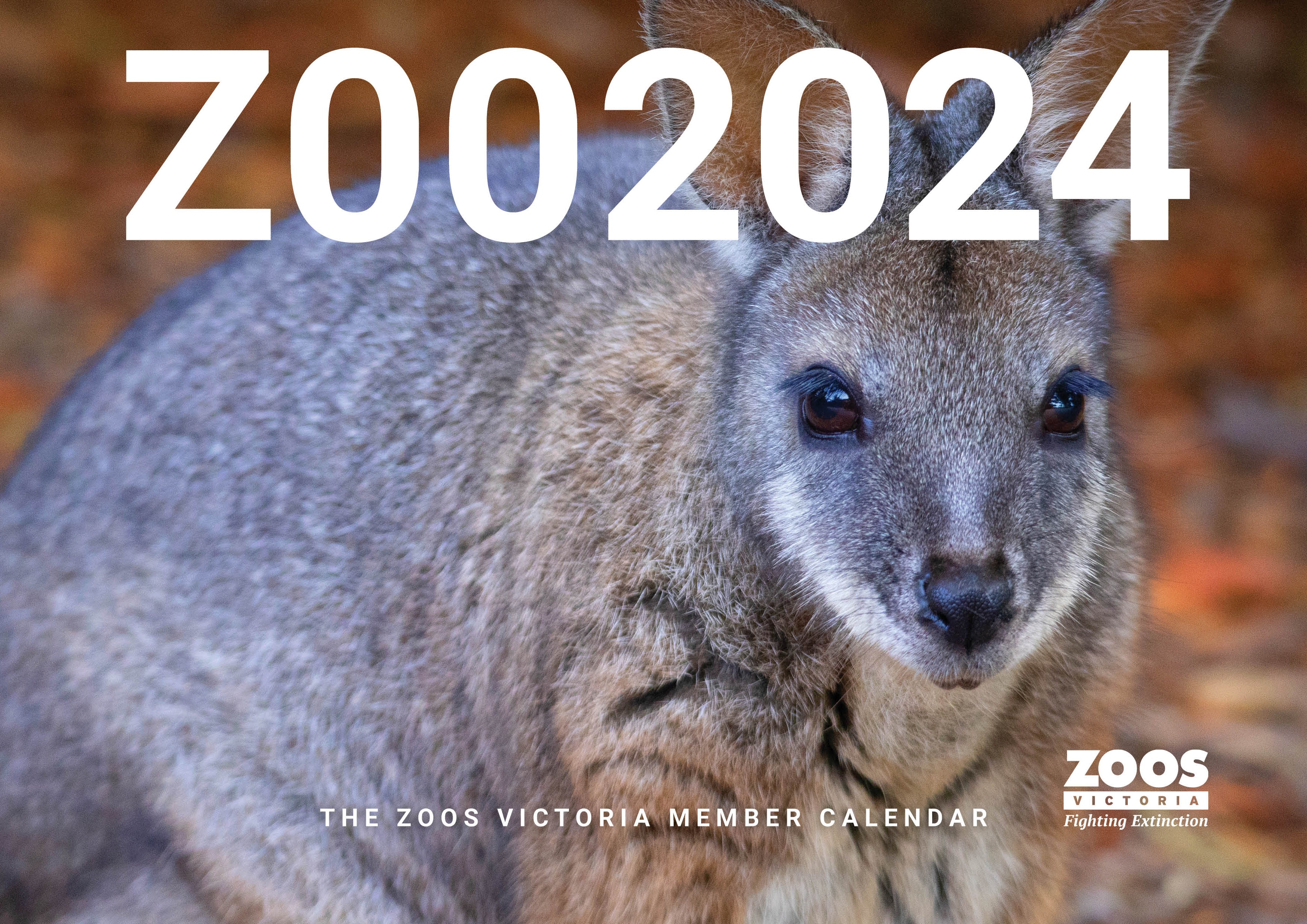 Zoos Victoria 2024 Member Calendar Zoo Shop   ZV Cal 2024 Cover 