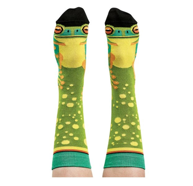 Socks Frog