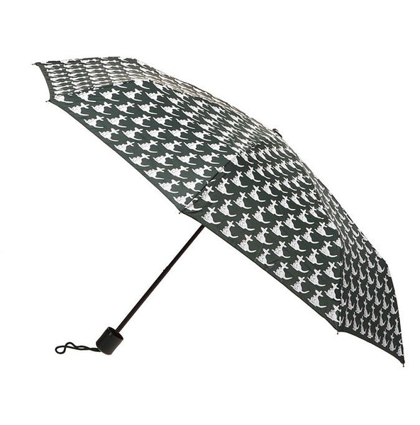 Umbrella Kangaroo