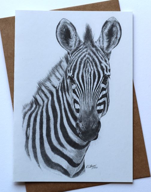 Greeting Card Zebra