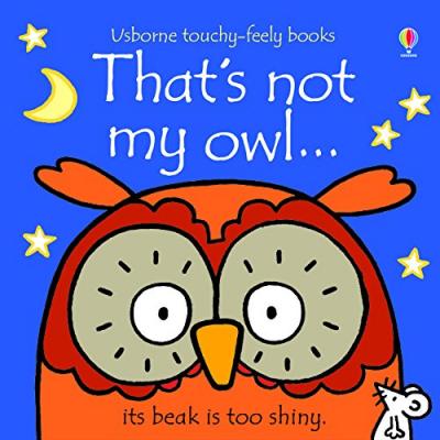 Book That's Not My Owl (Board Book)