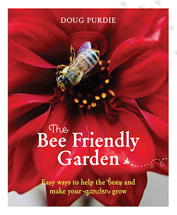 Book Bee Friendly Garden (Paperback)