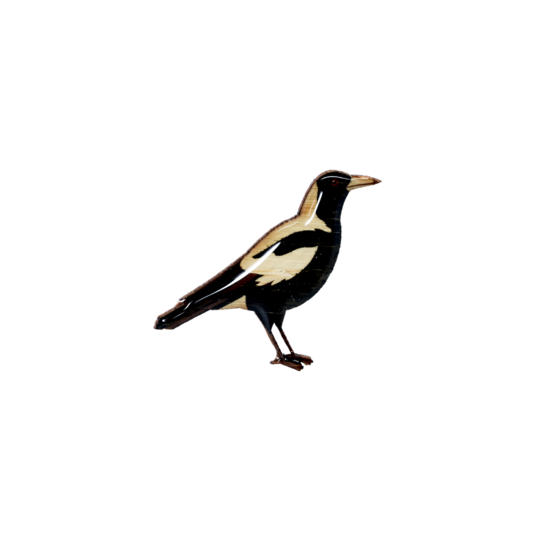 Magpie Collection Australian Made – Zoo Shop