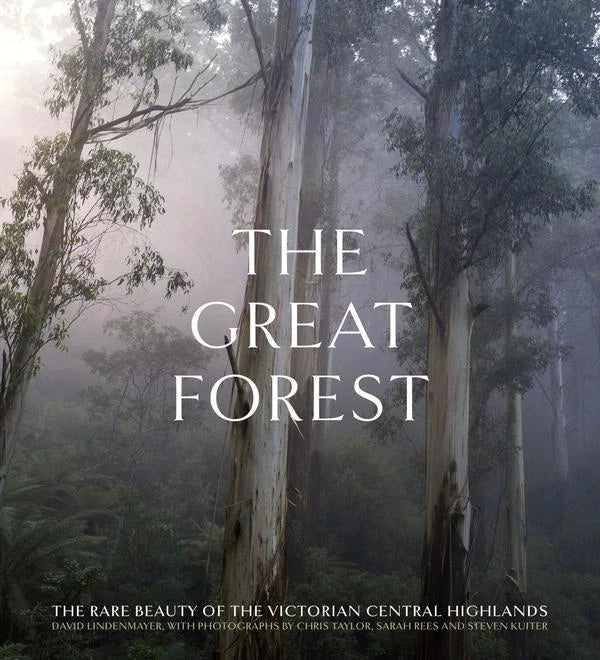 Book The Great Forest (Hardback)