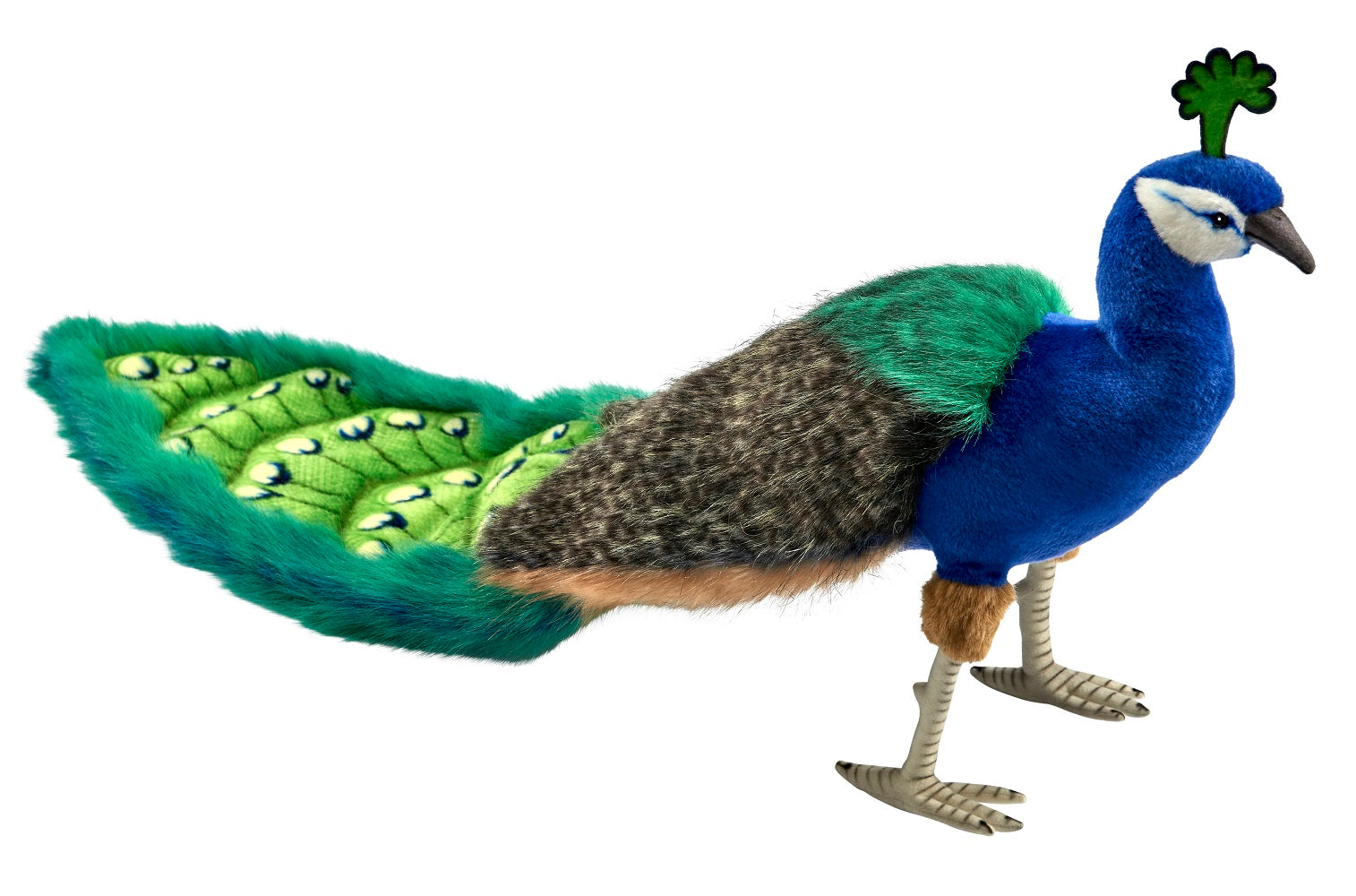 Plush Peacock