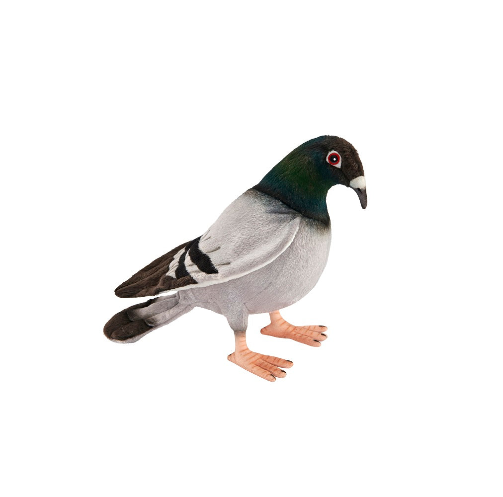 Plush Pigeon