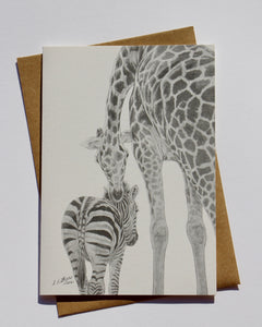 Greeting Card Zebra and Giraffe