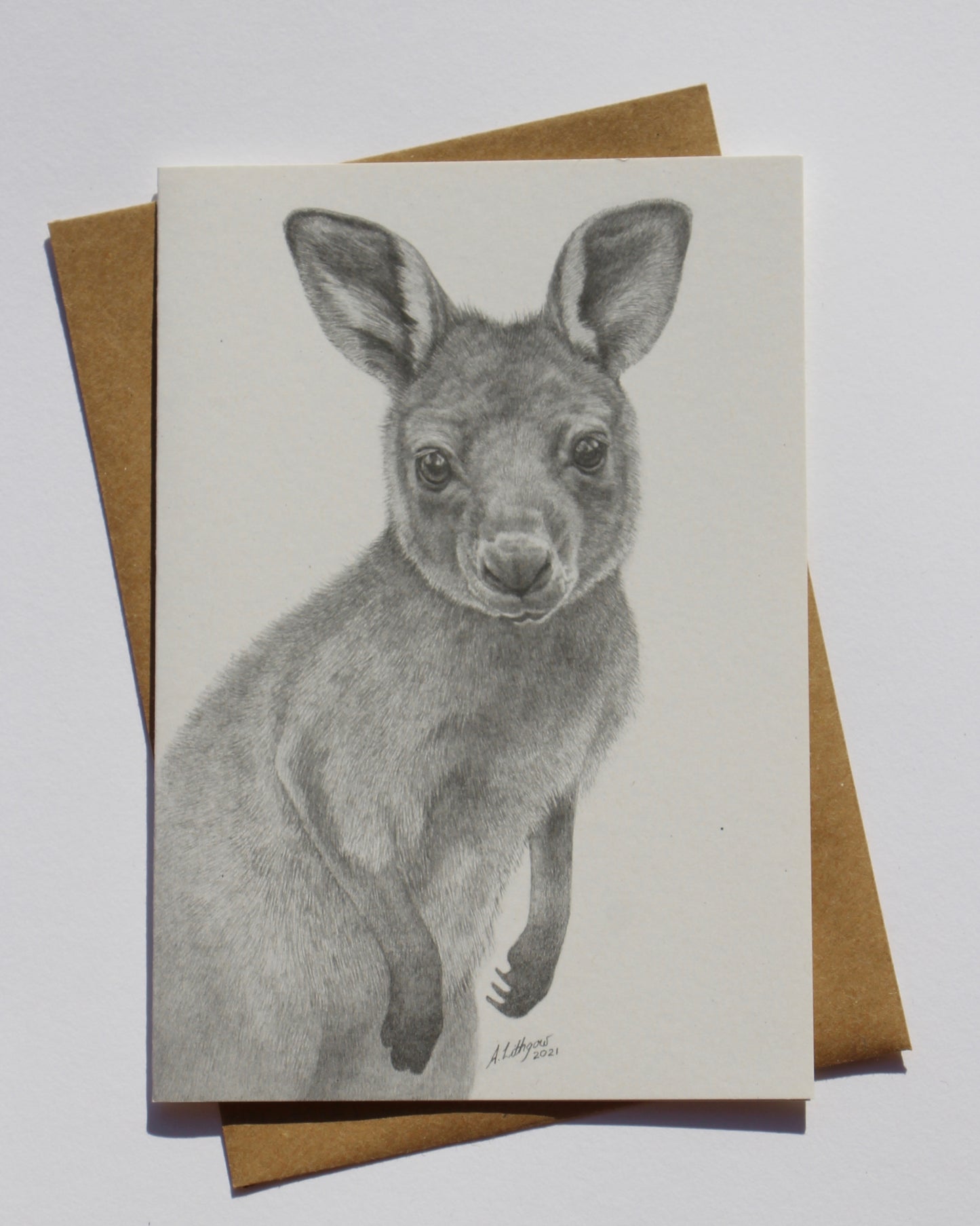 Greeting Card Kangaroo