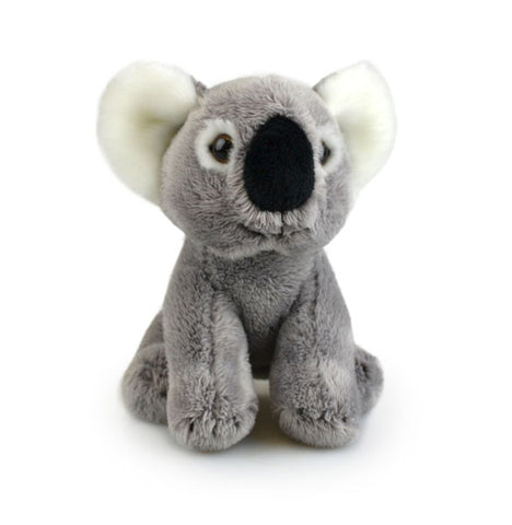 Plush Koala Lil' Friends