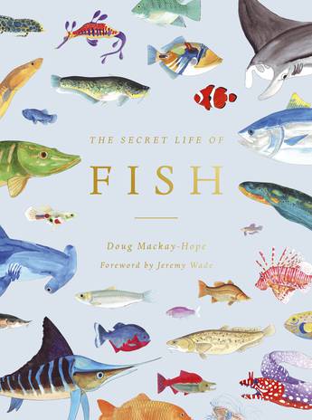 Book The Secret Life of Fish (Hardcover)