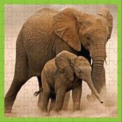 Puzzle Elephant With Calf (100 Piece)