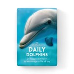 Cards Affirmation: Daily Dolphins
