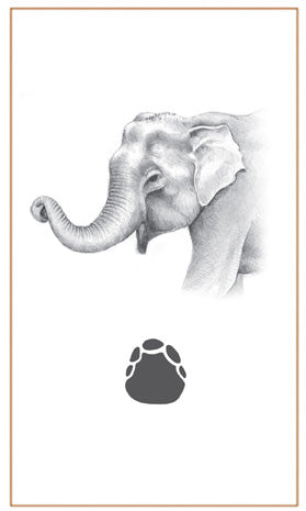 Cufflinks Elephant