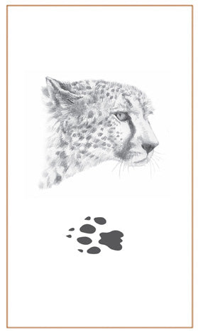 Earrings Cheetah Sterling Silver