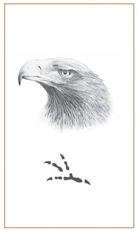 Cufflinks Wedge Tail Eagle