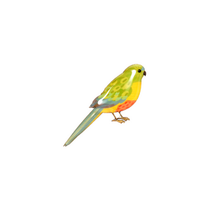 Brooch Orange-bellied Parrot