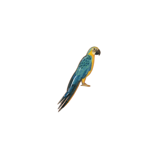 Brooch Macaw
