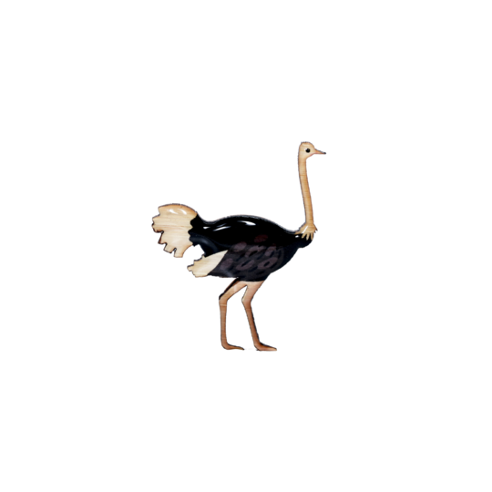 Brooch Ostrich