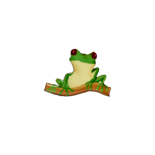 Brooch Red-eyed Tree Frog