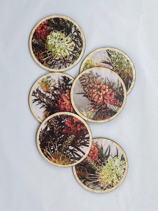 Coasters Grevillea (Set 6)