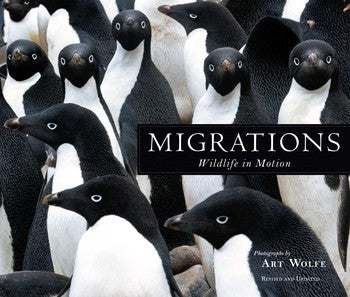 Book Migration (Hardback)