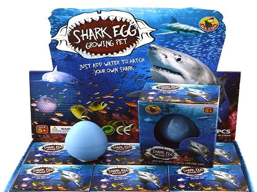 Grow Egg Shark