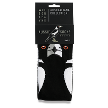 Socks Magpie