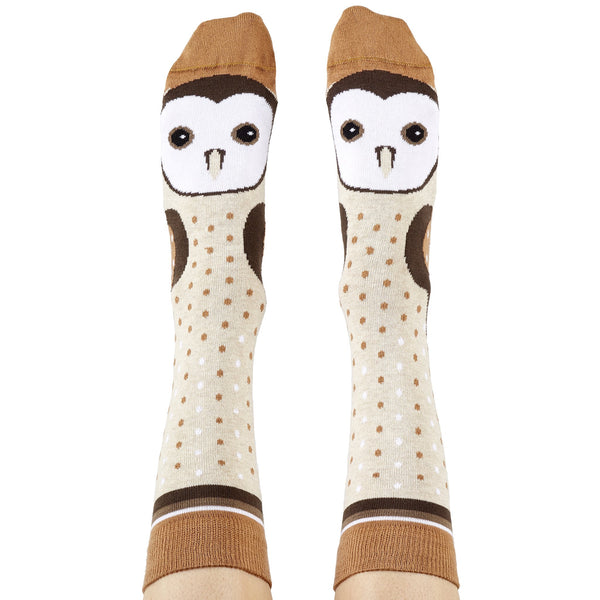 Socks Barn Owl
