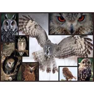 Puzzle Owl WWF (1000 Piece)
