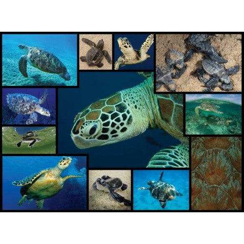 Puzzle Turtle WWF (1000 Piece)
