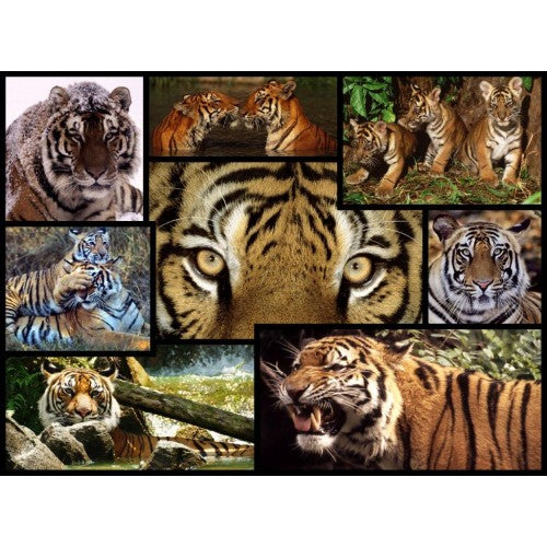 Puzzle Tiger WWF (1000 Piece)